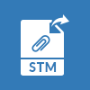 Option to Convert Exchange STM